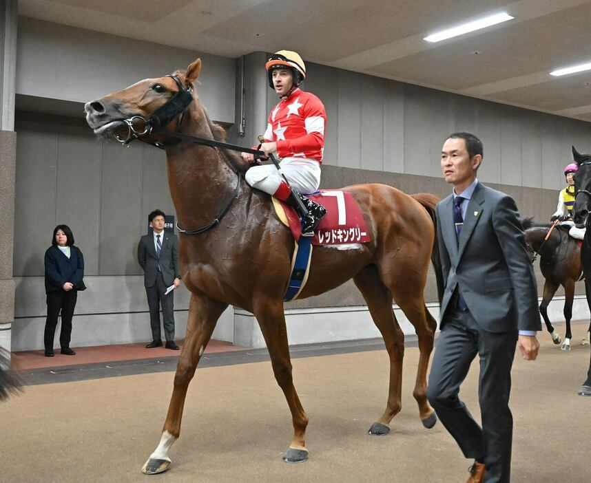 東スポ杯2歳Sで3着に敗れたレッドキングリー＝16日、東京競馬場（撮影・奈良武）