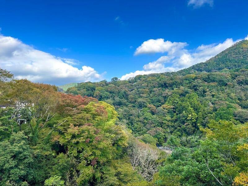 温泉はもちろん、自然やお店など歩くだけで楽しめるのが箱根の魅力