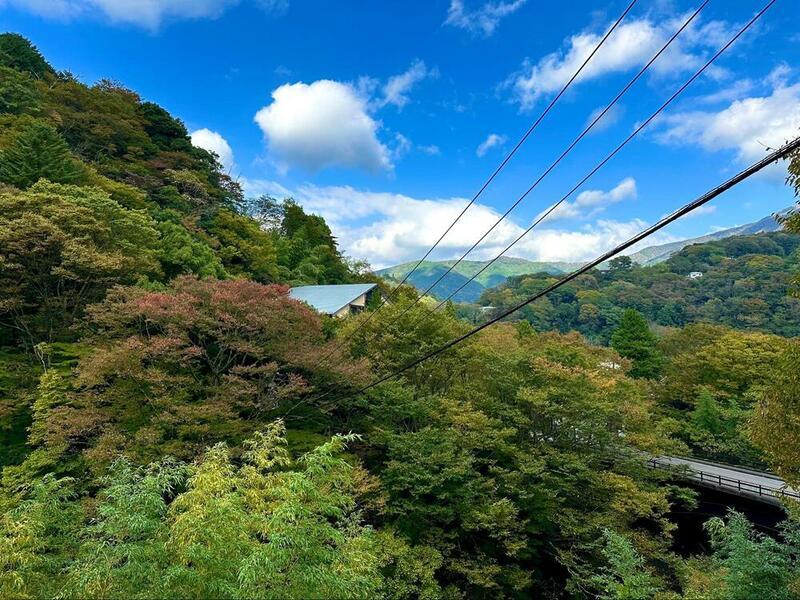 堂ヶ島渓谷遊歩道から宮ノ下駐車場までの道で見える景色