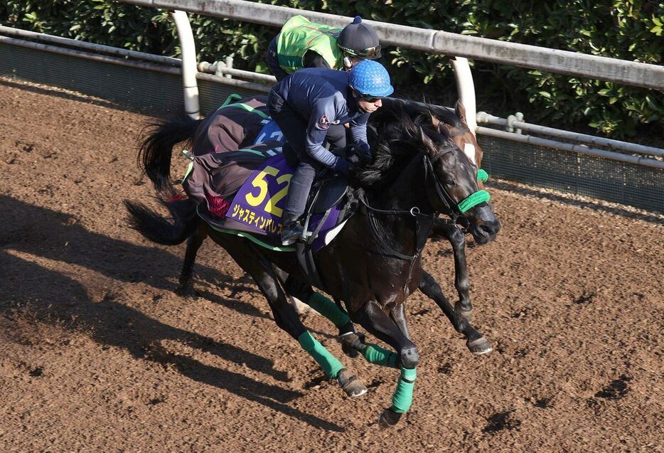 ジャスティンパレス＝栗東トレセン（撮影・安部光翁）