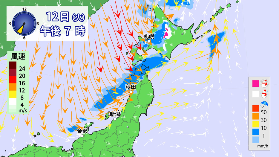 12日(火)午後7時の雨雪と風の予想