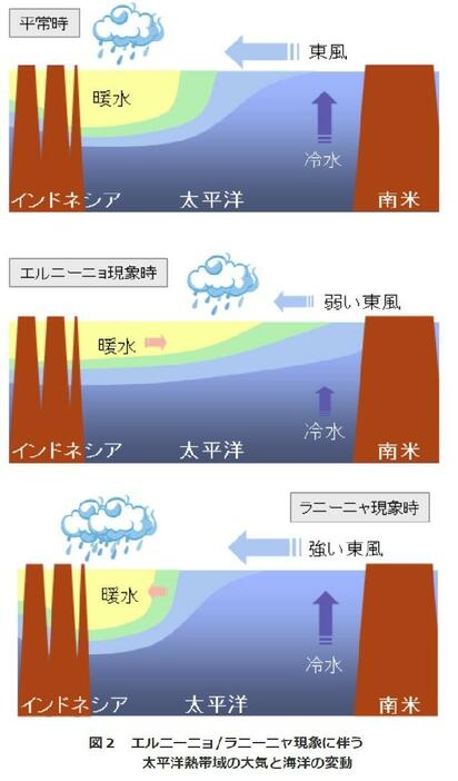 エルニーニョ・ラニーニャ現象に伴う太平洋熱帯域の大気と海洋の変動 出典＝気象庁HP