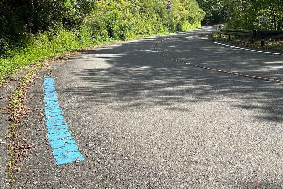 総距離800kmにおよぶサイクリングロード「WAKAYAMA800」のブルーライン。分岐の少ない「龍神スカイライン」の走破には、このラインに従って走れば迷うことはありません