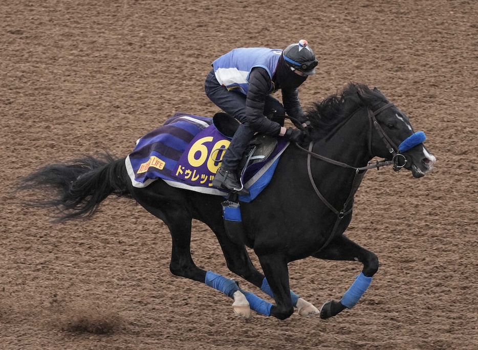 ウッドチップコースで追い切るドゥレッツァ（撮影・郡司　修）