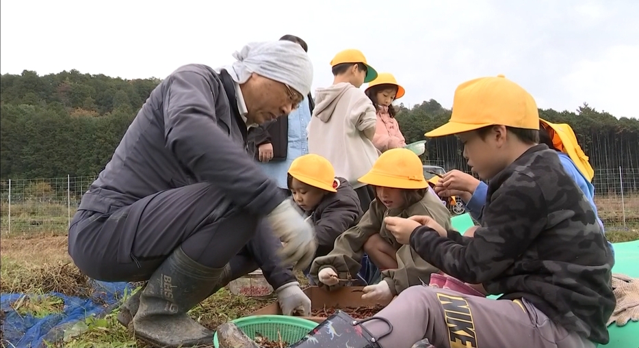 地元の小学生たちが収穫体験