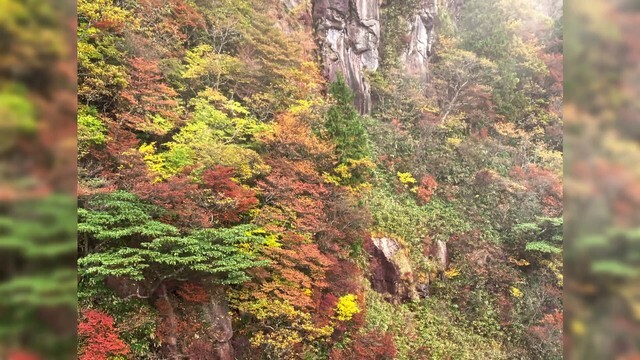 ゴンドラから見えた景色