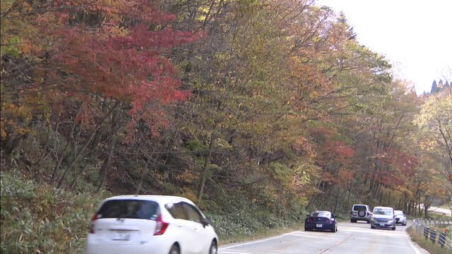 飛騨・美濃せせらぎ街道の様子