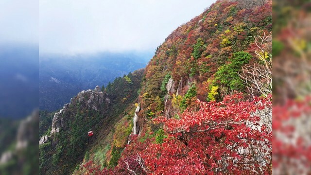 11月4日に『御在所ロープウエイ』従業員が撮影した写真