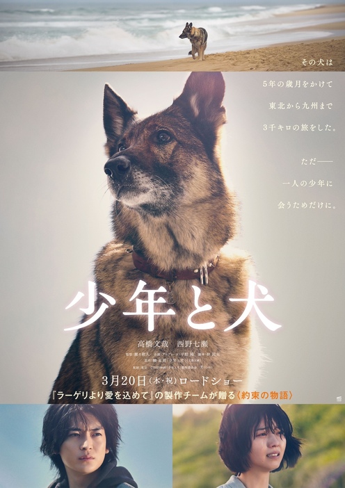 映画『少年と犬』©2025 映画「少年と犬」製作委員会