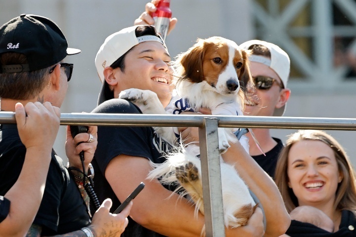 愛犬デコピンを抱えてWS優勝パレードに参加した大谷。(C)Getty Images