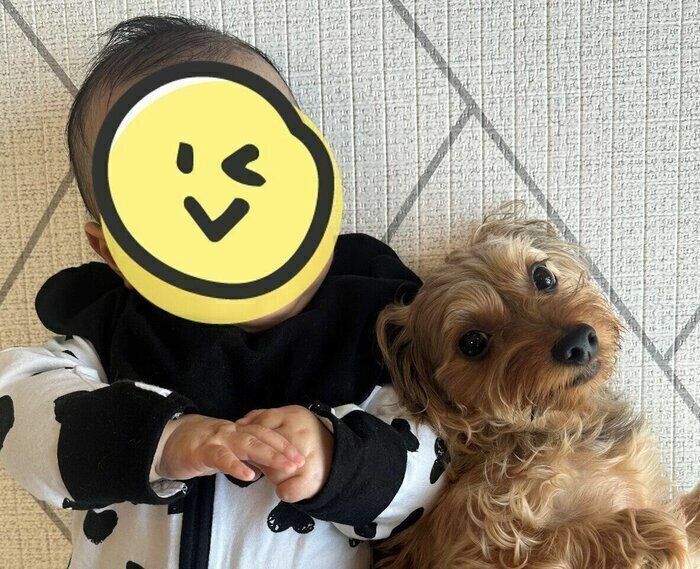 第1子が5カ月ごろになってすぐのころ。愛犬とのツーショット。