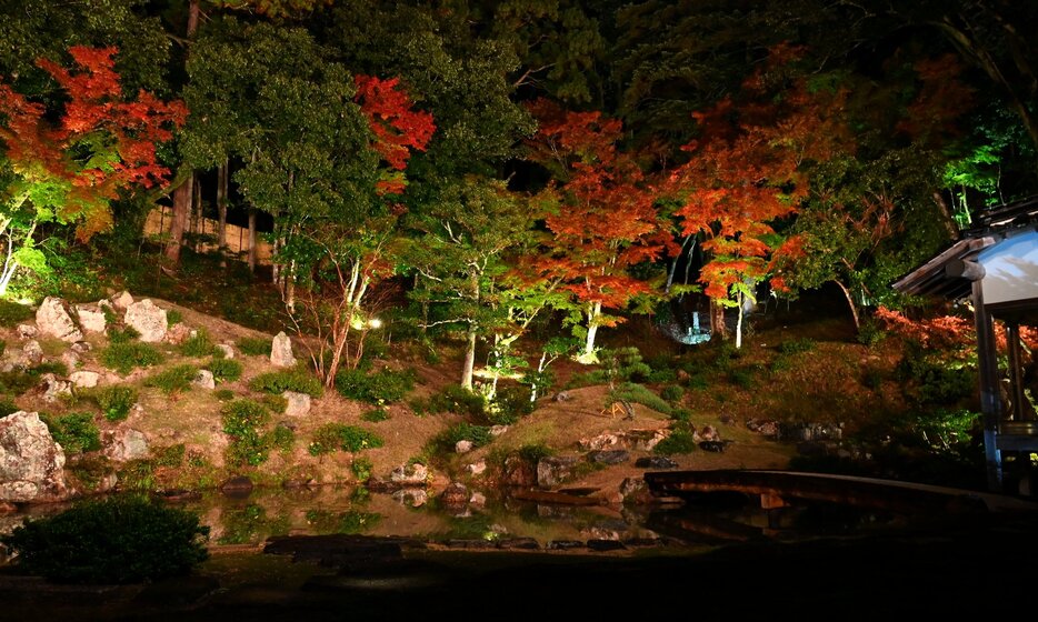 赤や黄色に色づいたモミジが幻想的に照らされた庭園＝２７日、鳥取市栗谷町の興禅寺