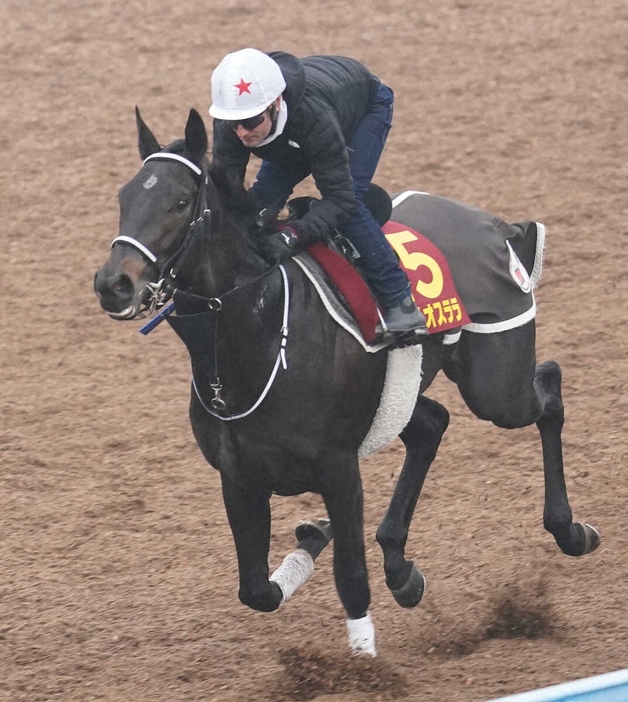 M・デムーロを背に追い切るテリオスララ（撮影・村上大輔）