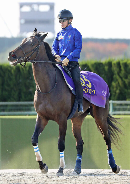 国内では崩れ知らずの２冠牝馬スターズオンアース