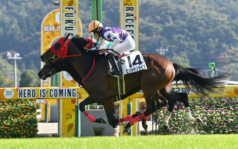 福島5R　1着ピリカサンライズ＝9日、福島競馬場（撮影・奈良武）