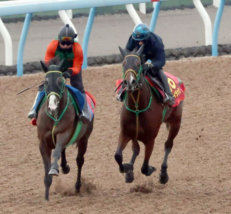 ライラック（右）＝美浦トレセン（撮影・塩浦孝明）