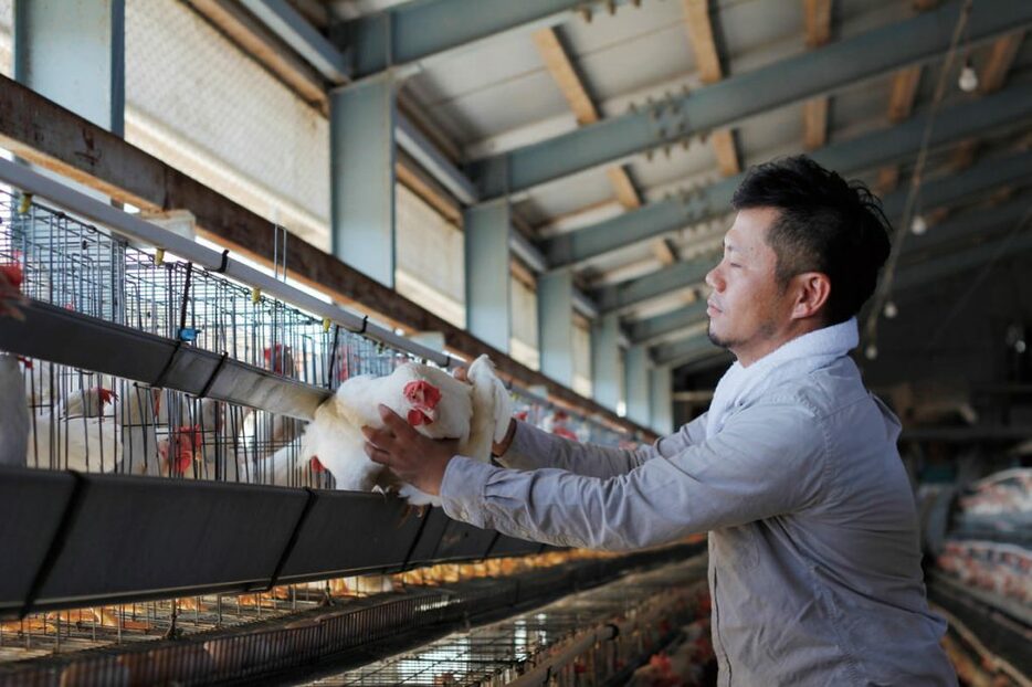 北坂養鶏場ホームページより