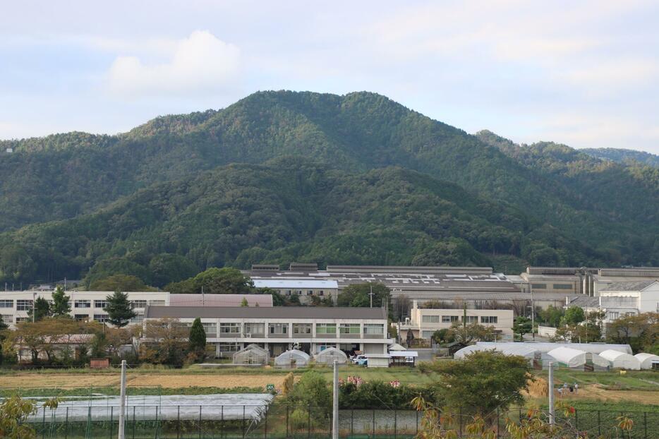 盃をひっくり返したような形をした盃山＝兵庫県丹波篠山市郡家から望む