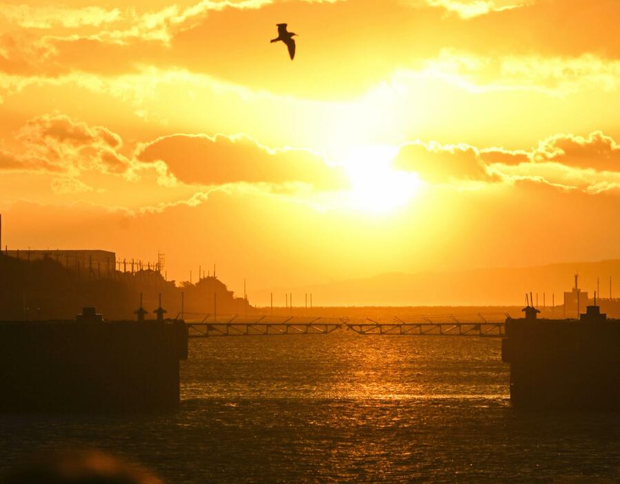 港の出入り口から夕日が差し込み、水面が輝く「光の航路」＝18日夕、福岡県大牟田市の三池港