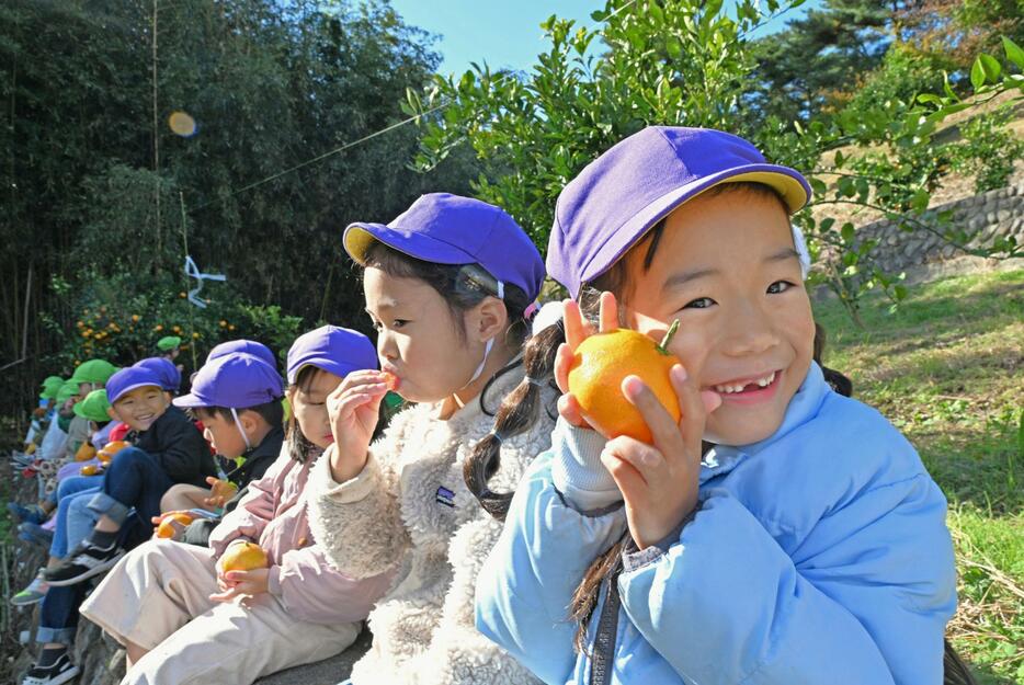 福島県広野町で、ミカン狩りを楽しんだ認定こども園の園児＝19日午前