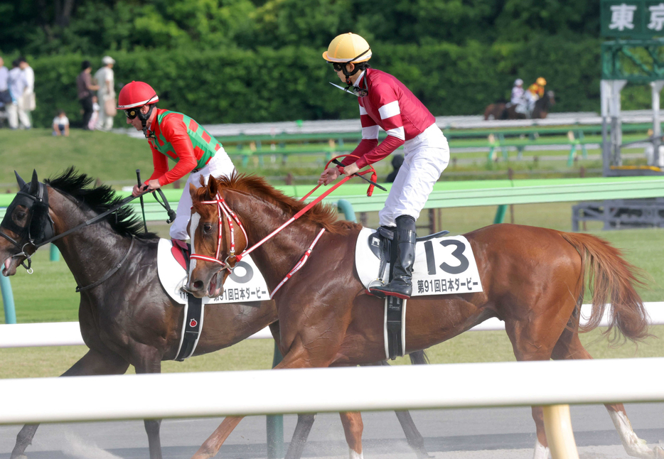 　ダービーで３着に入ったシンエンペラー＝５月