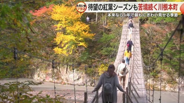 夢のつり橋（2018年）