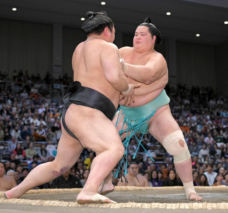 若元春（左）を押し出しで下し１０勝目を挙げた琴桜（カメラ・今西　淳）