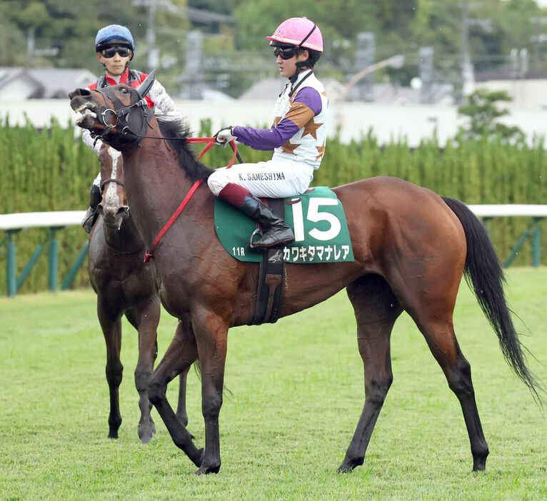 カワキタマナレア（手前）は５着（カメラ・豊田　秀一）