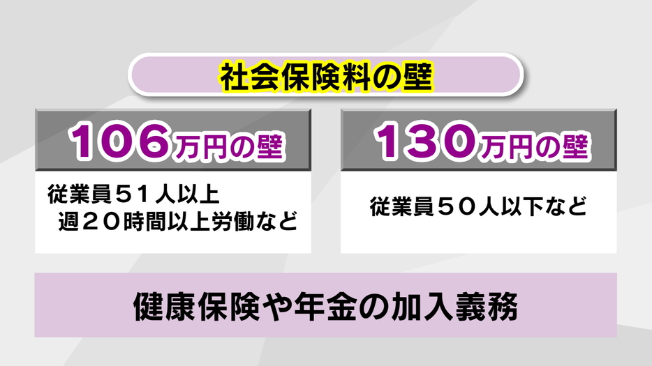 記者が解説「年収の壁」