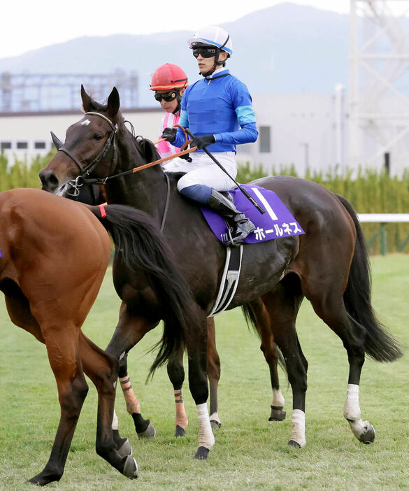 ３着のホールネスと坂井瑠星騎手（カメラ・馬場　秀則）