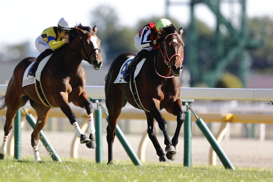 東京6R・ジュタと坂井瑠星騎手