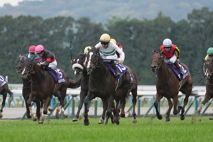 団野大成騎手のソウルラッシュが悲願のG1初制覇を果たした（中央）【写真：産経新聞社】