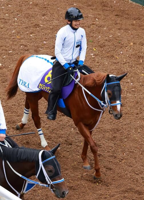 　Ｇ１初制覇を狙う大器セラフィックコール（撮影・石湯恒介）