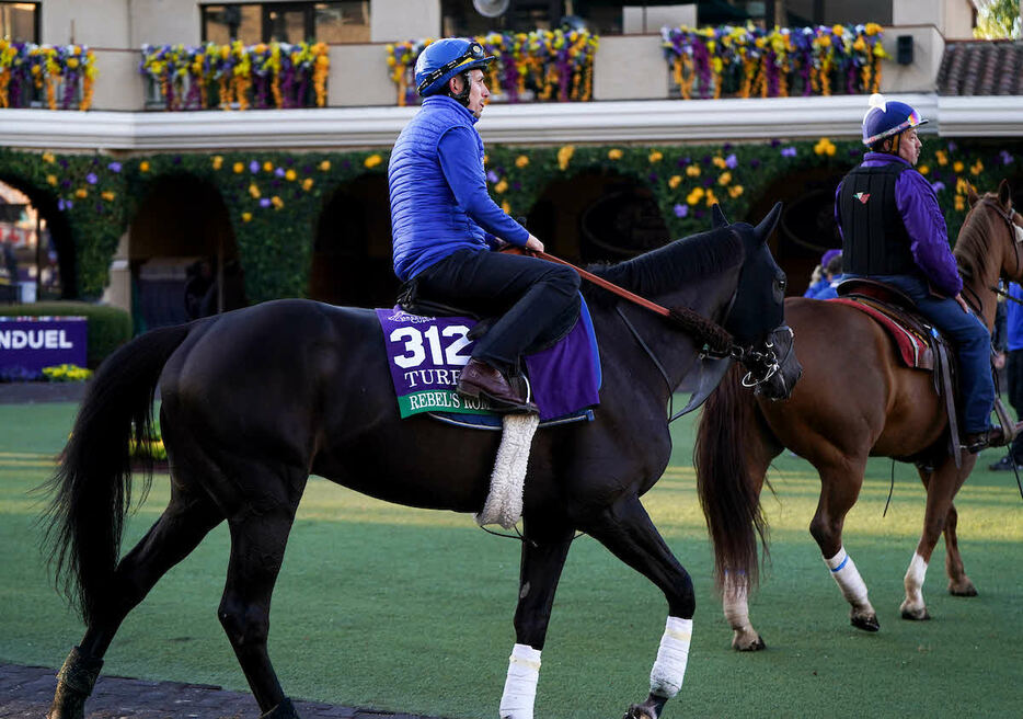 BCターフ出走のレベルスロマンス（（C）Katie Vordenberg／Eclipse Sportswire／Breeders Cup）