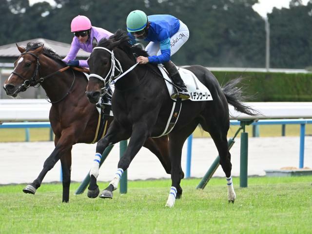 2歳新馬戦を制したワイルデンウーリー(c)netkeiba