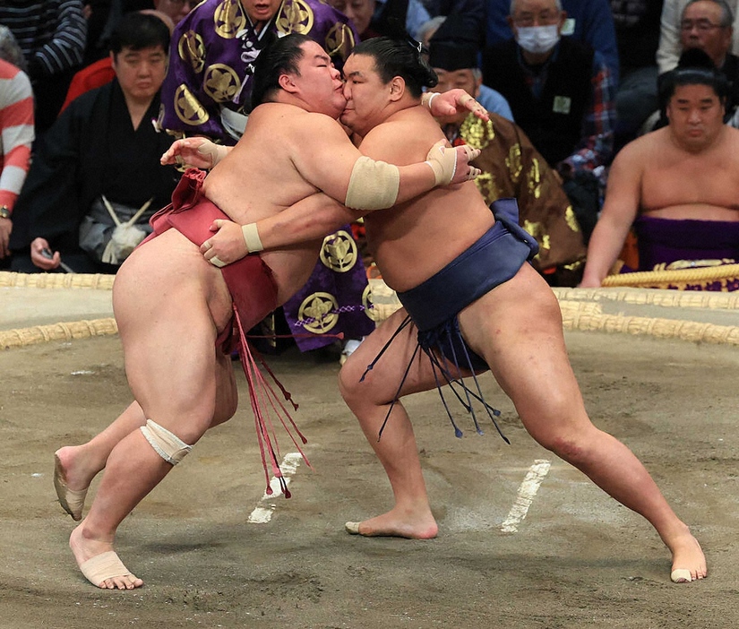 ＜大相撲九州場所11日目＞豊昇龍（右）は押し出しで大栄翔を破る（撮影・岸　良祐）　　　