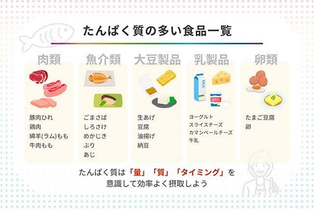 たんぱく質の多い食品一覧 （デザイン：末松彩瑛）