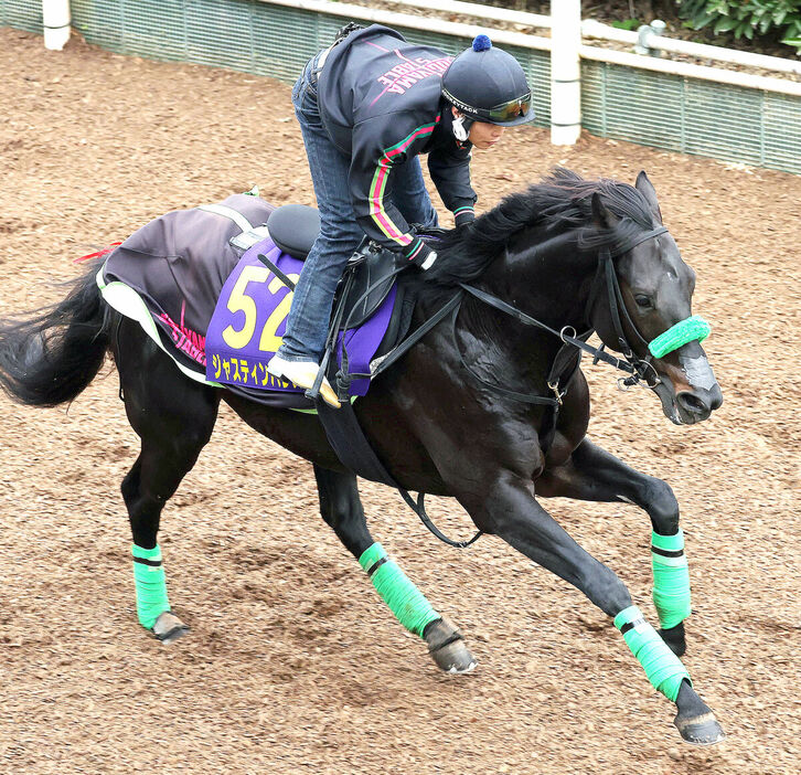 坂路を単走で追い切るジャスティンパレス