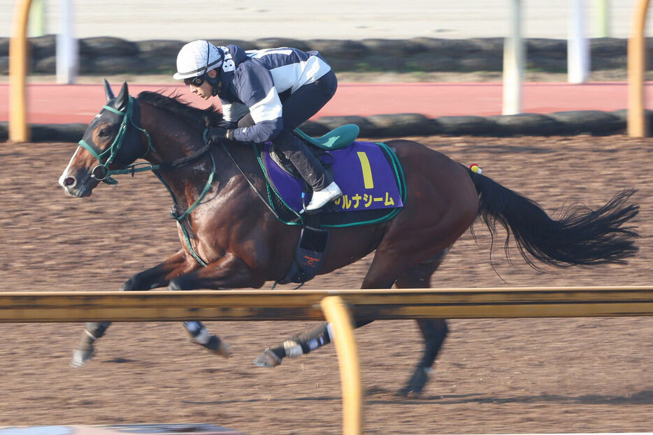 藤岡佑介騎手が騎乗してCWコースで追い切ったアルナシーム（カメラ・高橋　由二）