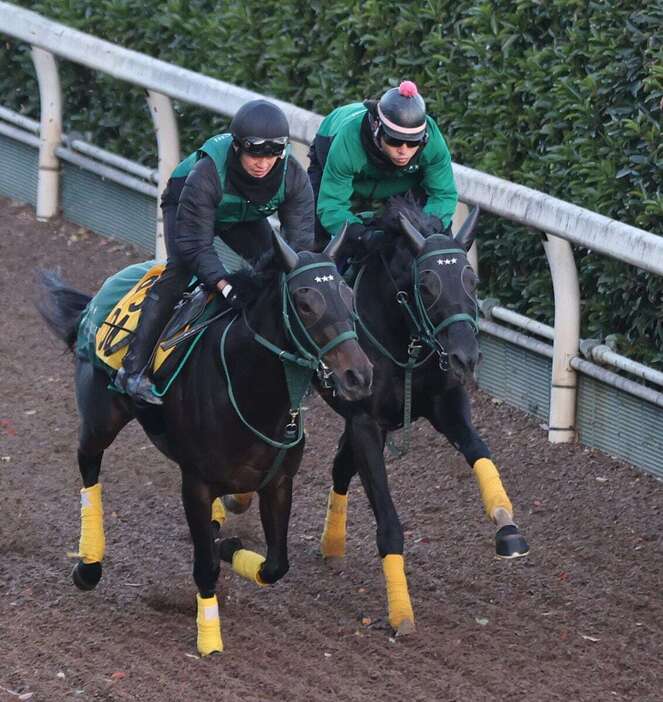 チャンピオンズCの追い切りを行ったアーテルアストレア（右）＝栗東トレセン（撮影・安部光翁）