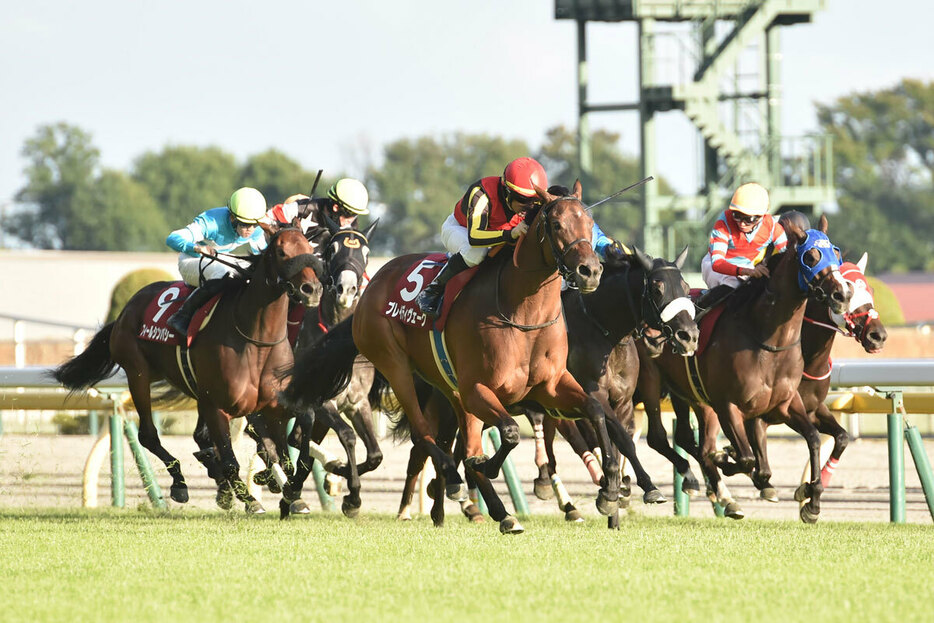 府中牝馬Ｓのトラックバイアスは？