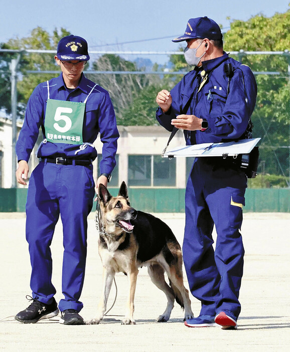 警察犬の審査に参加したシェリー