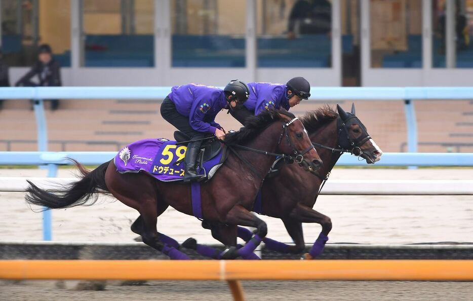 ドウデュース（手前）は余力十分に併入。好仕上がりをうかがわせた（撮影・岩川晋也）