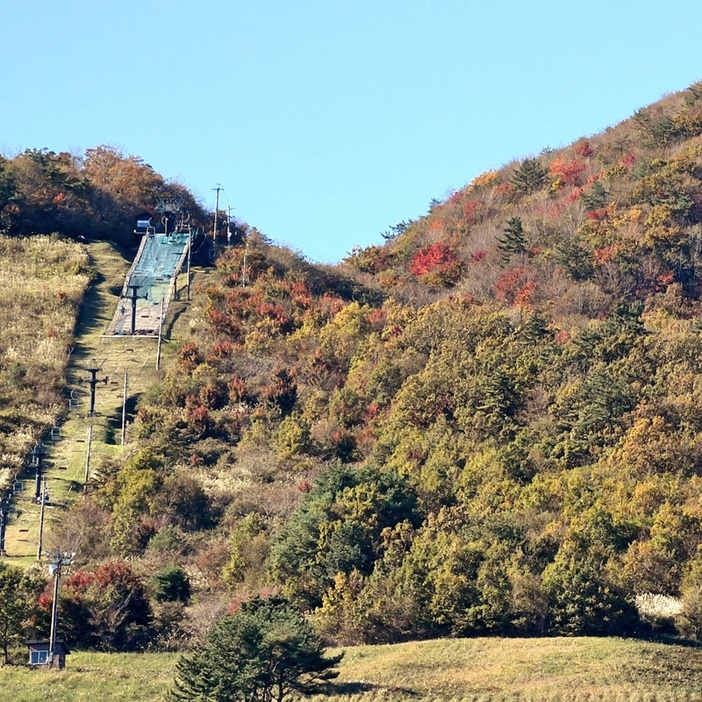 色づいた女三瓶山＝島根県大田市三瓶町