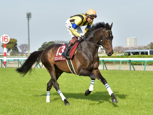 19年の京成杯覇者ラストドラフトが登録抹消 今後は乗馬に