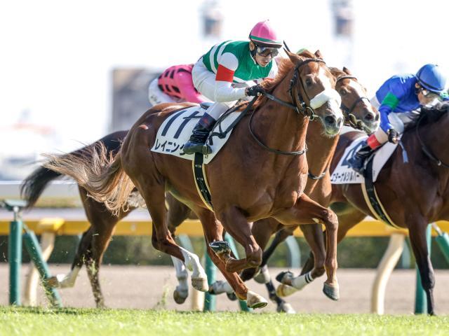 東京5Rの新馬戦を制したレイニング(撮影：下野雄規)