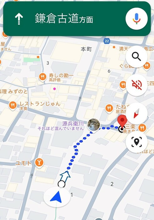 Google Mapが表示したルート（リポップさん提供）