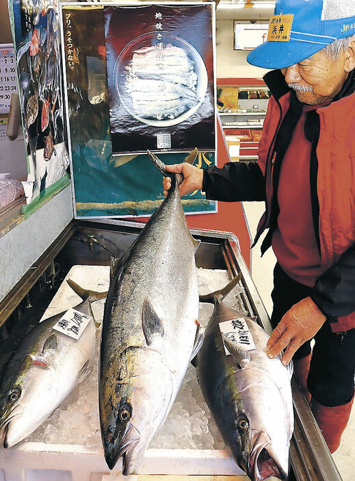 大漁となった寒ブリ＝氷見市内のスーパー