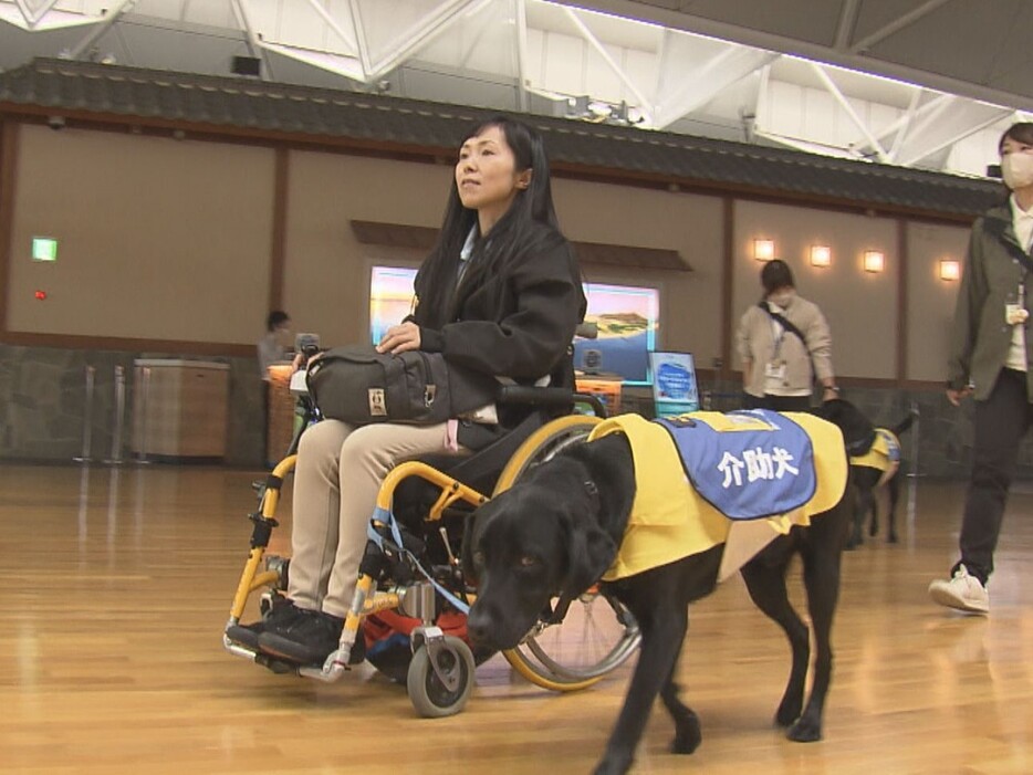 中部国際空港で行われた介助犬の訓練 愛知県常滑市