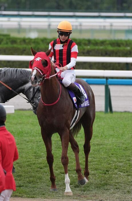 初距離で3着に食い込んだウインマーベル＝京都競馬場（撮影・岩川晋也）